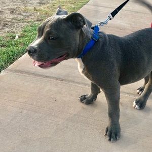 Meet your Posher, Jose